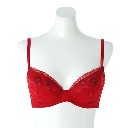 LANGELIQUE(ランジェリーク) Ray 3/4カップブラB/C