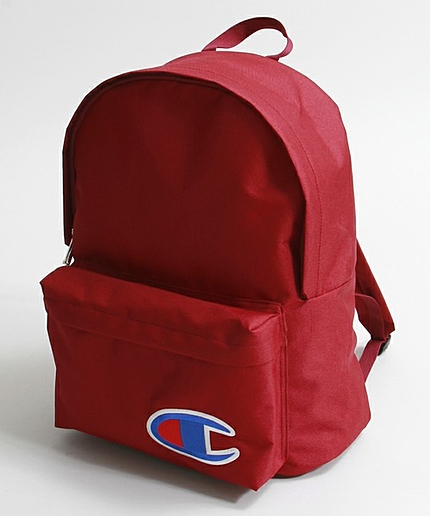 ∴WEGO/Championデイパック