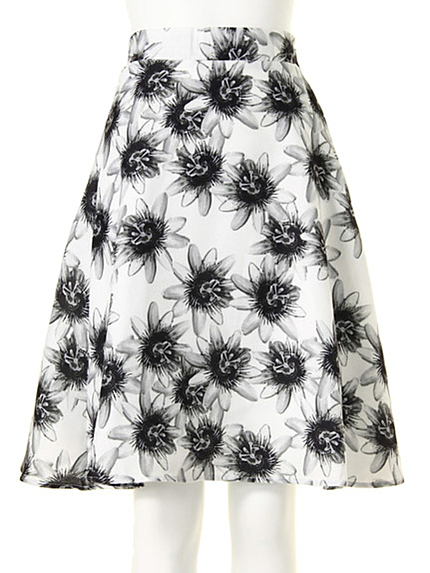 パッションフラワーミディーSK