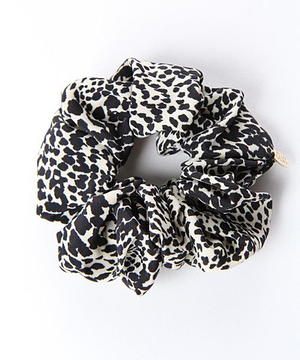 レオボーダーシュシュ