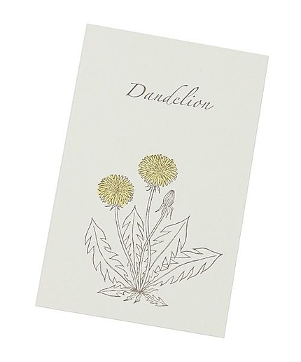 GARDEN ポストカード