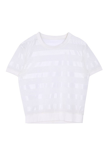 シースルーボーダーラフトップス