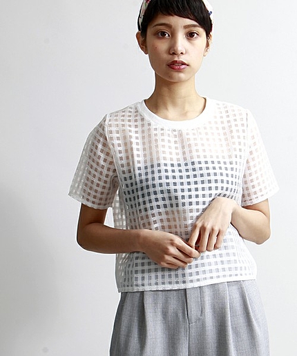 WEGO/シースルーギンガムクロップドTシャツ