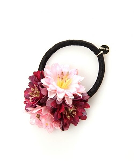 ハイショクゾウカポニー/mikoa