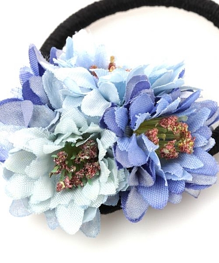 ハイショクゾウカポニー/mikoa