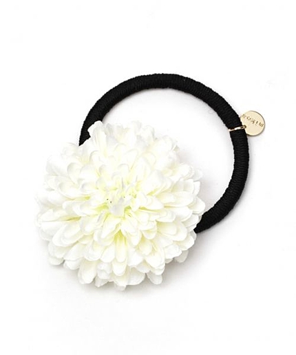 ゾウカポニー/mikoa