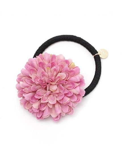 ゾウカポニー/mikoa