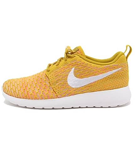 ウィメンズ ナイキ ローシ フライニット NIKE WMNS ROSHE ONE FLYKNIT 704927