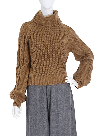 ボリューミータートル