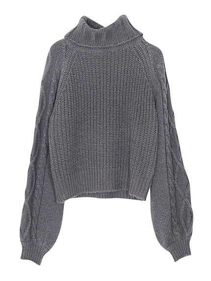 ボリューミータートル