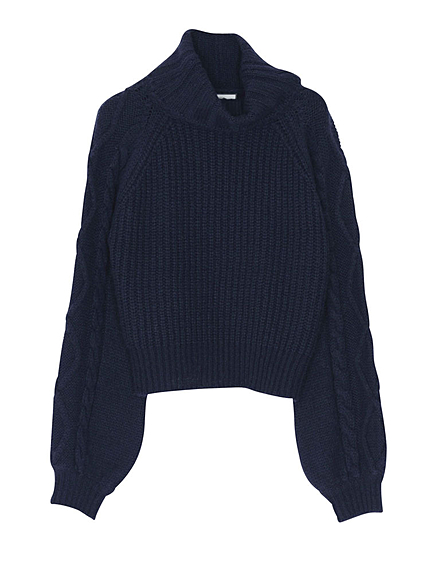 ボリューミータートル