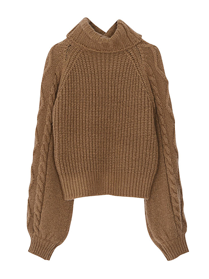 ボリューミータートル