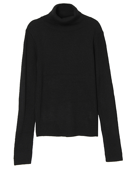 ベーシックタートル