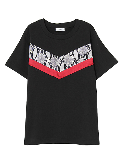 パイソンサテンコンビTーSH