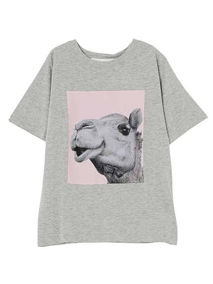 CamelフォトプリントTシャツ