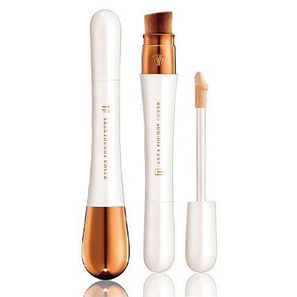 エリアファンディ