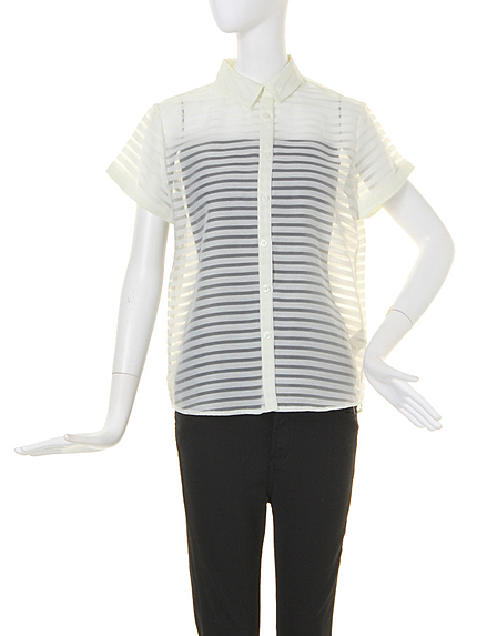 【BASIC】シアーボーダーSH