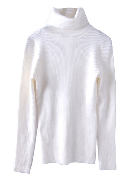 EVRIS【ECCENTRIC】ハイネックショートニットTOPS