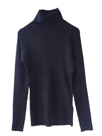 EVRIS【ECCENTRIC】ハイネックショートニットTOPS