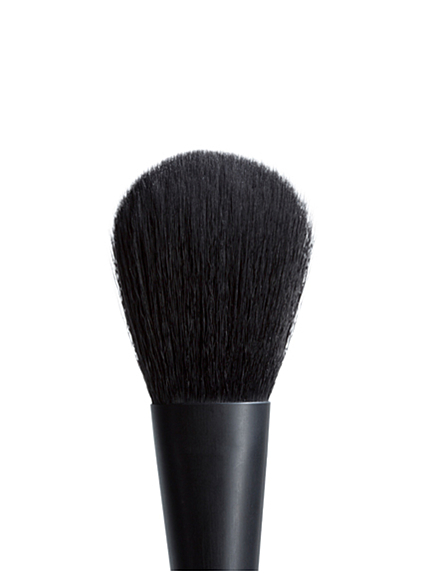 BLUSH BRUSH #2