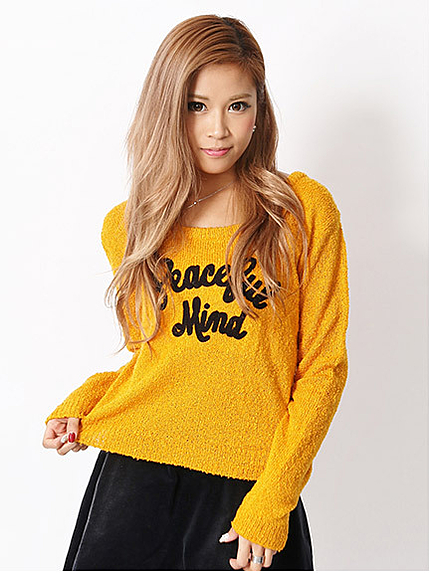 刺しゅう入りニットプルオーバー