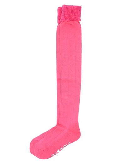 【LADIES】ウィンドペンニーハイソックス