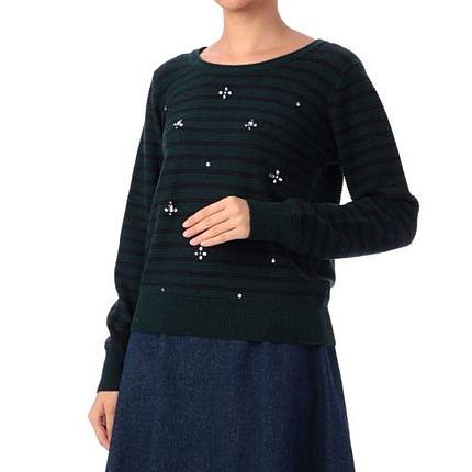 ボーダービジューニット