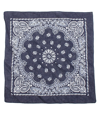 WEGO/ペイズリーバンダナ