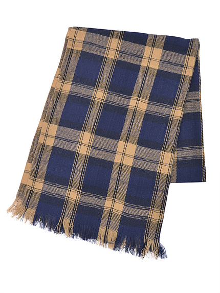 EVRISチェックストール