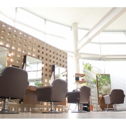 Hair Designing ALPHA