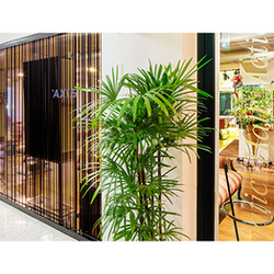 `AXIS 栄店　【アクシス　サカエ】