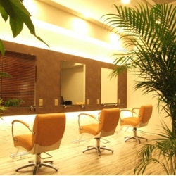 Haru-Ru　ハルール