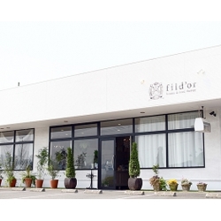 fild'or  【フィルドール】