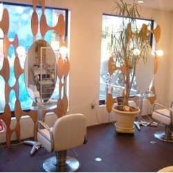 bloom vis　（ブルーム　ヴィス）