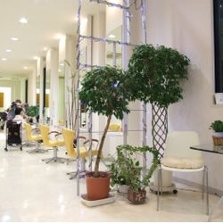 ＣＩＥＬ　ＨＡＩＲ