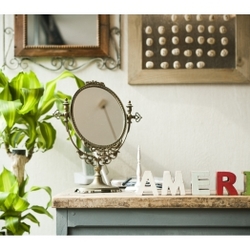 Ameri chou chou　柏　　アメリシュシュ　カシワ