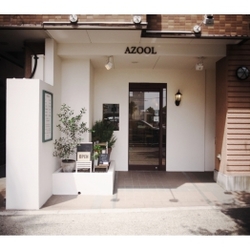AZOOL