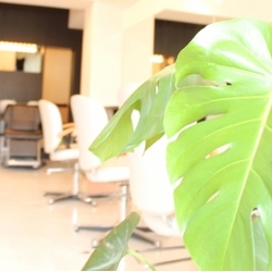 MOANA hair モアナ 