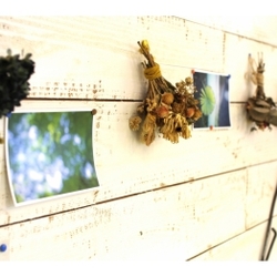 nanuk 　ナヌーク 