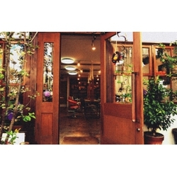 Ｍｏｔｈｅｒ Ｎａｔｕｒｅ'ｓ Ｓｏｎ　マザーネイチャーズサン