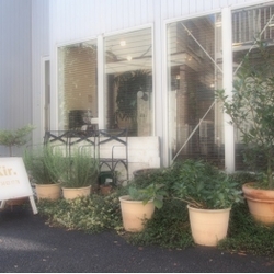 Kir. 【キール】