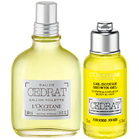 セドラ フレグランスキット