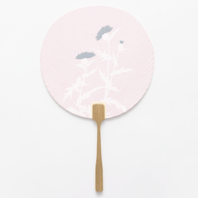 ノアザミ / Thistle