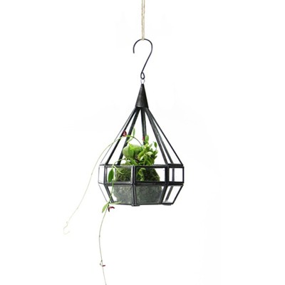 ティアドロップ テラリウム