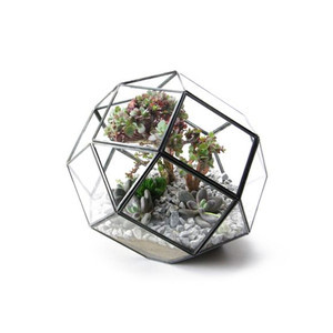 ポリへドロン テラリウム