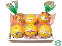 スペシャルくりぬきゼリー詰合せ