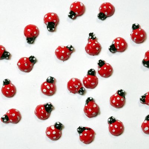 樹脂3Dパーツ★てんとう虫