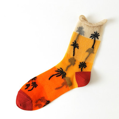 シースルーサンセットボーダーソックス