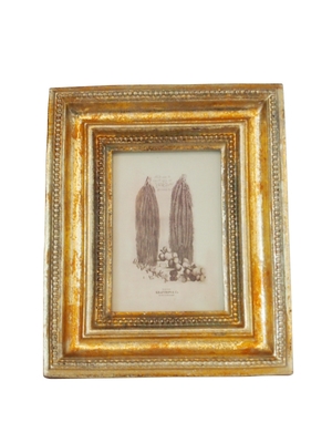 『DEMODE』Theobroma Beans