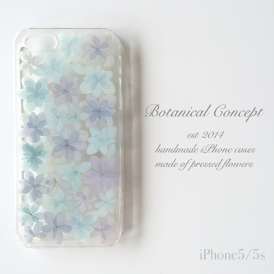 　アジサイ　ブルー＆パープル